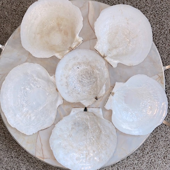 Shell Appetizer Plates, Salad Plates, Set of 6 - Picture 1 of 8